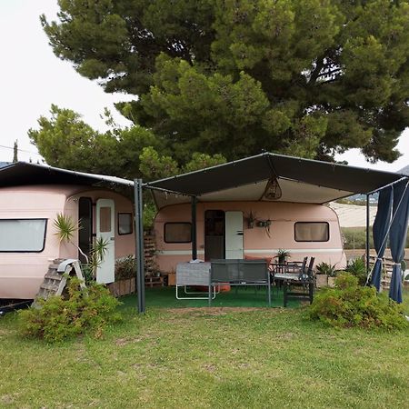 Caravana- Glamping Casa Tortuga La Nucía Kültér fotó