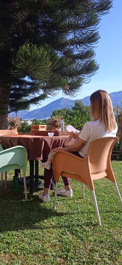 Caravana- Glamping Casa Tortuga La Nucía Kültér fotó