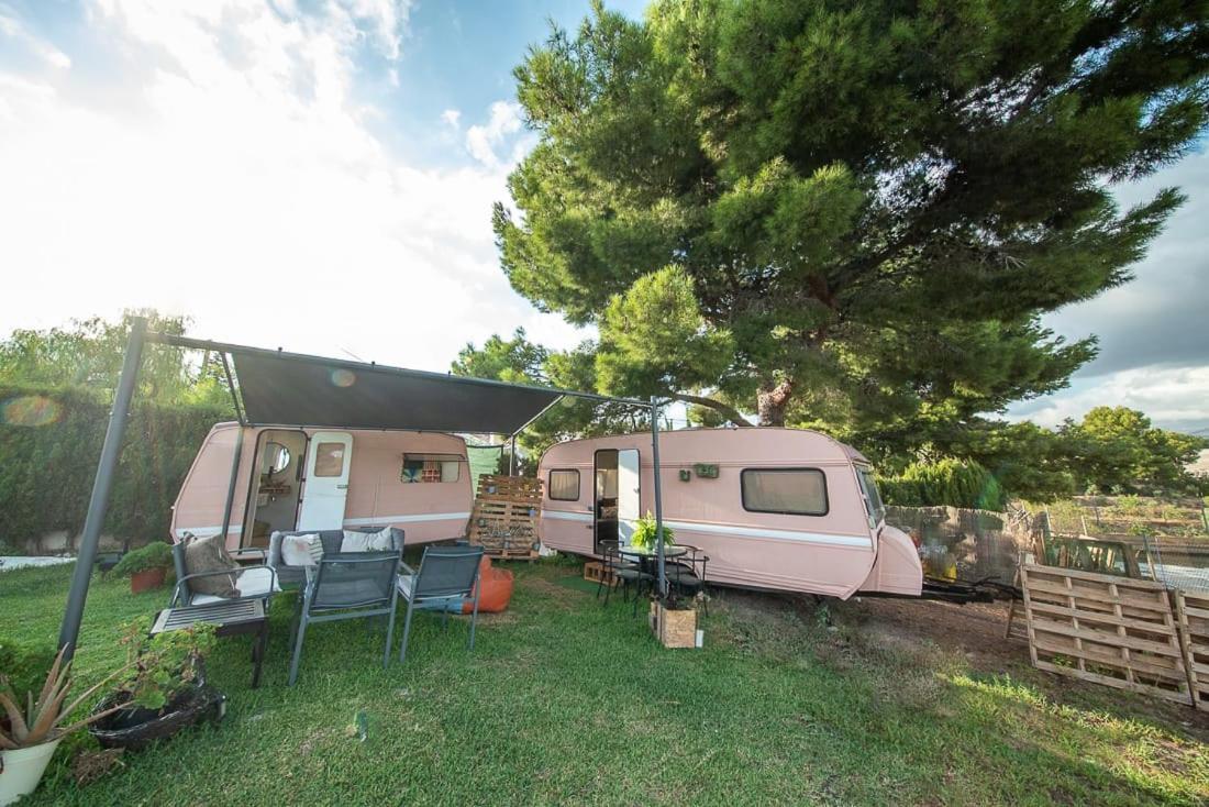 Caravana- Glamping Casa Tortuga La Nucía Kültér fotó