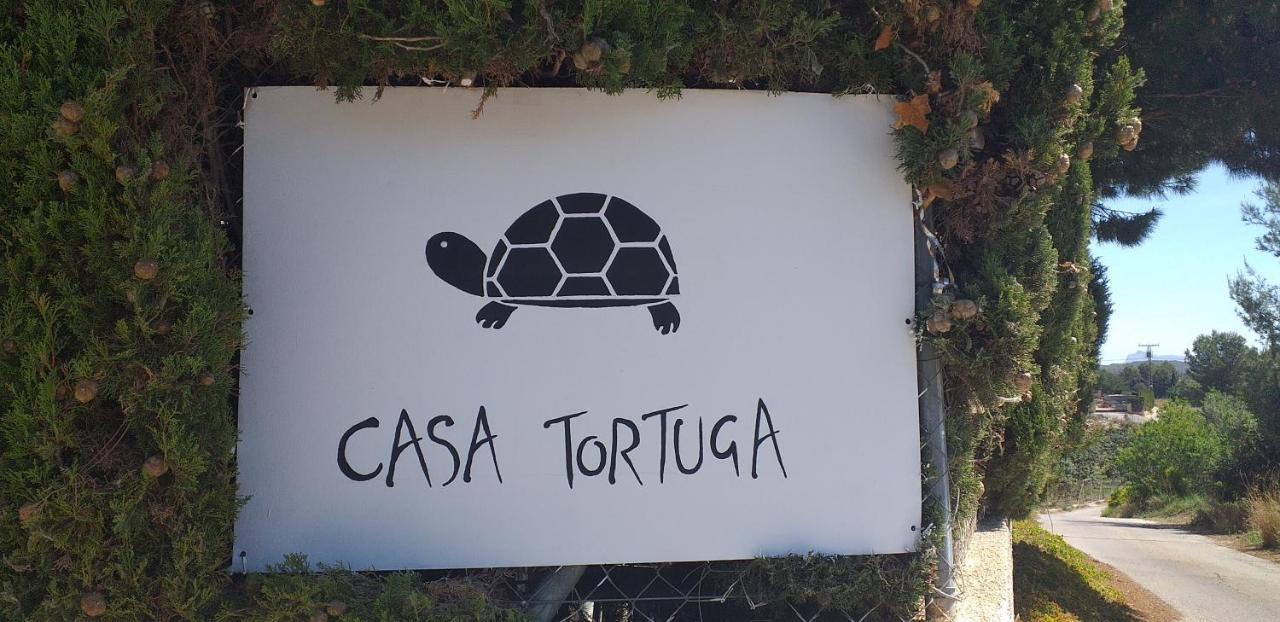 Caravana- Glamping Casa Tortuga La Nucía Kültér fotó